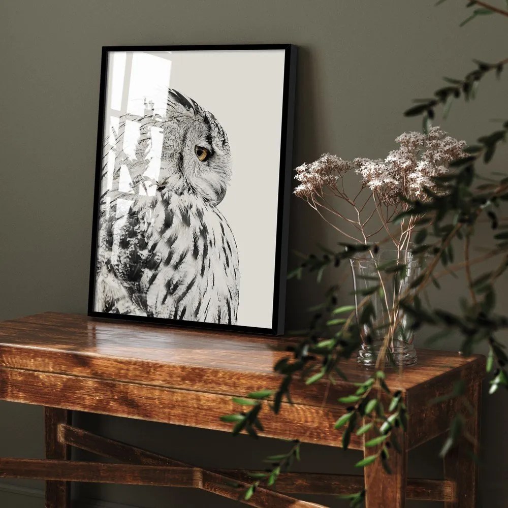 Kép 50x70 cm Owl – Styler