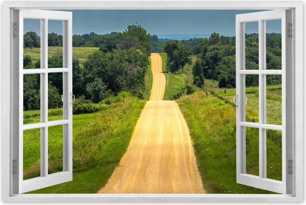 Poszterek 60x40 Út Rét Mező Erdő