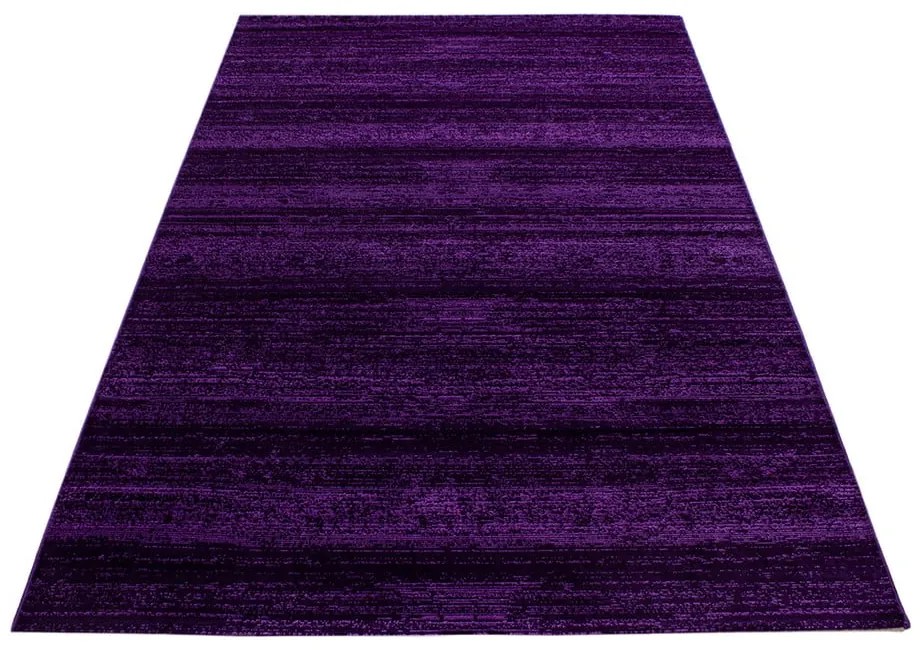 Sötétlila szőnyeg 140x200 cm Plus – Ayyildiz Carpets