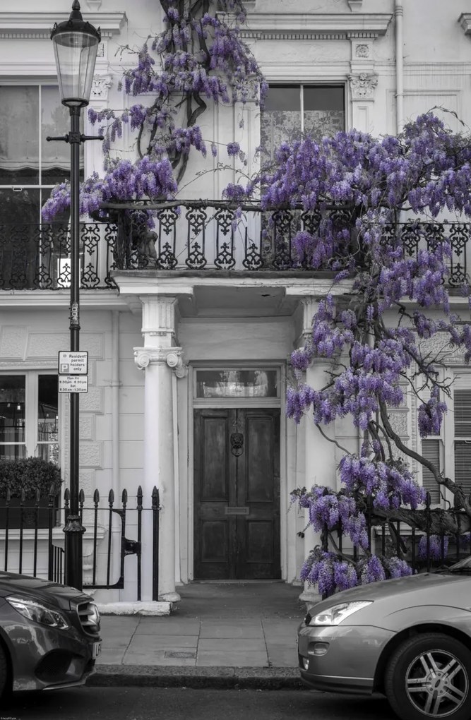 Poszter 53x81cm Ház a Portobello úton 2, Assaf Frank