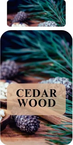Illatolaj Diffúzorhoz Cedar Wood 100ml Erdei friss illat