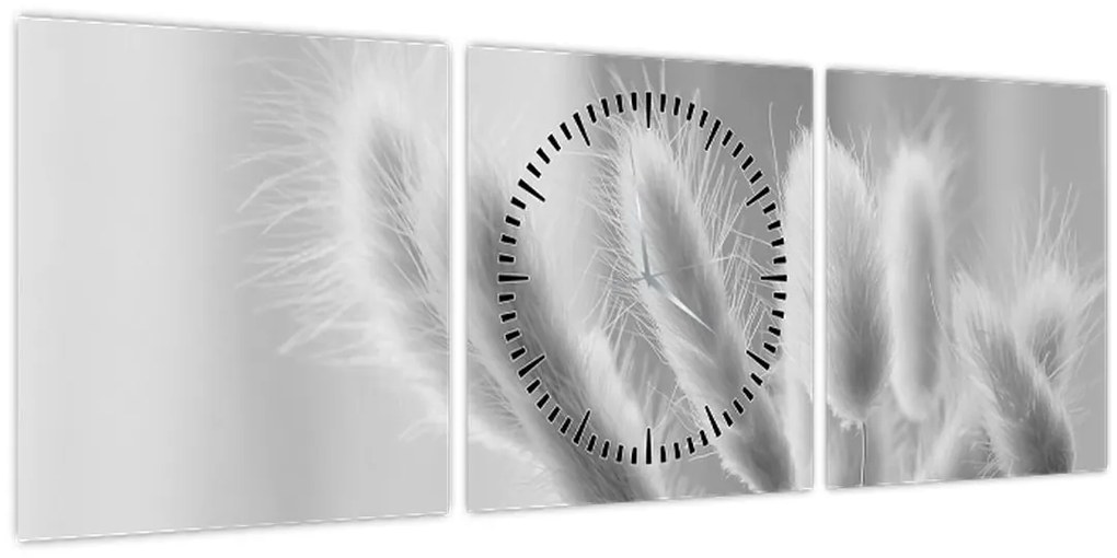 Kép - Nyuszi farok fű (órával) (90x30 cm)