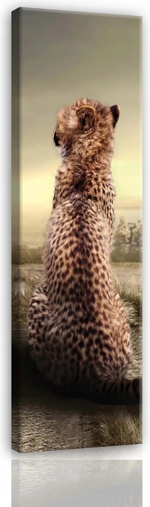 Vászonkép 45x145 Magány megfigyelés romok gepárd természet melankólia csend