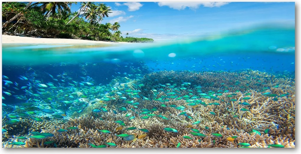 Fotó kép edzett üveg Korallzátony 140x70