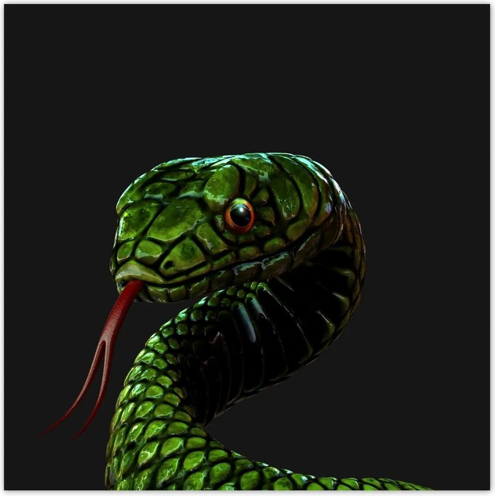 Poszterek 140x140 Óriás zöld kígyó