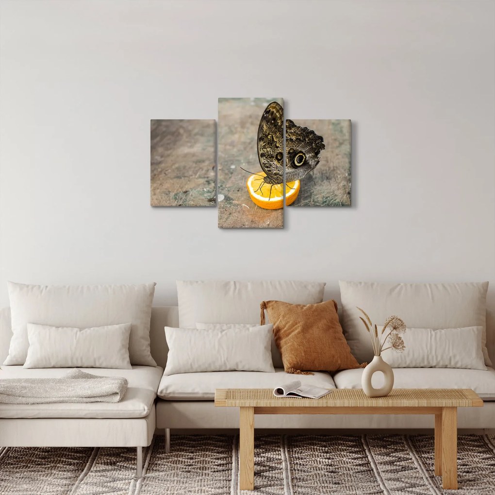 Pillangó képe (90x60 cm)