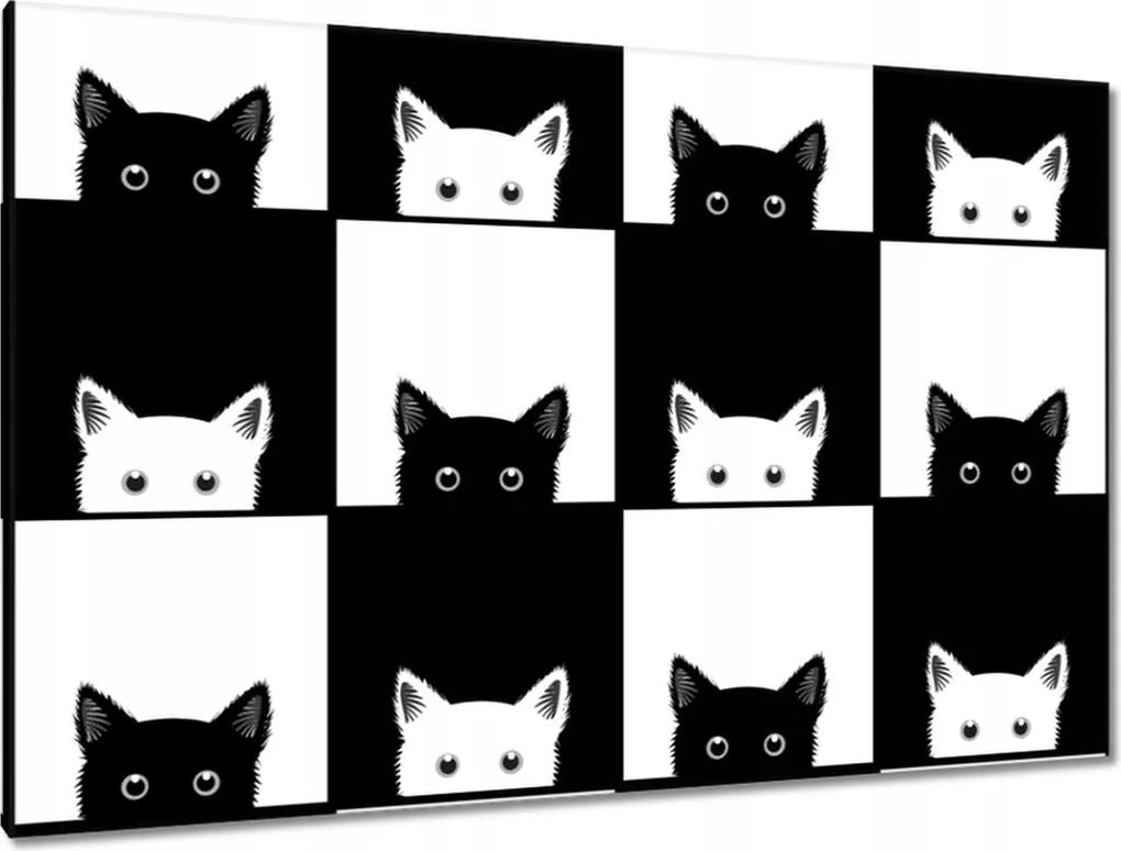 Képek 120x80 Cica Cicák