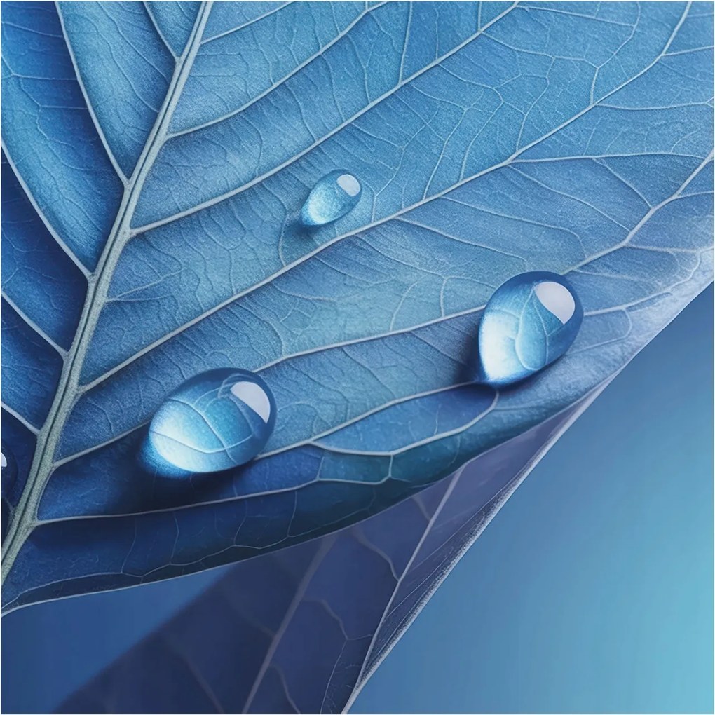 Flizelin tapéta Flizelin falikép Prémium levél kék 250x250 Ragasztó