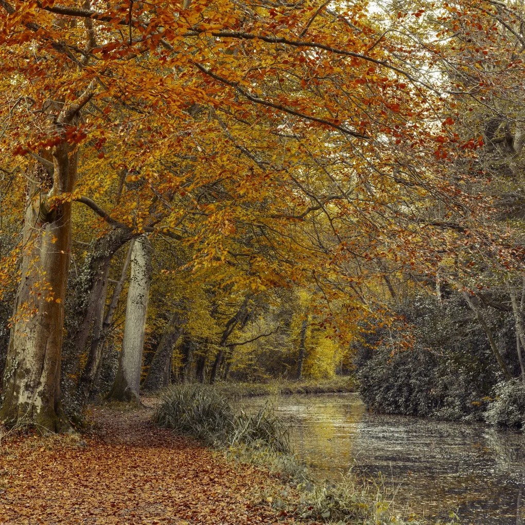 Poszter 80x80cm Ösvény a csatornánál, Assaf Frank