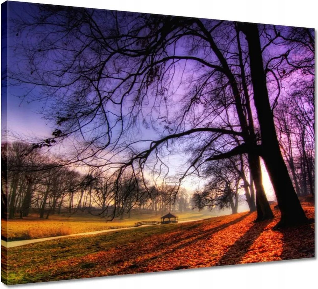 Vászonkép 50x40 Bajusz park