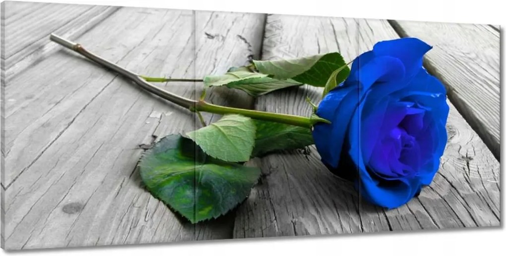 Festmények 210x100 Kék rózsa a deszkákon