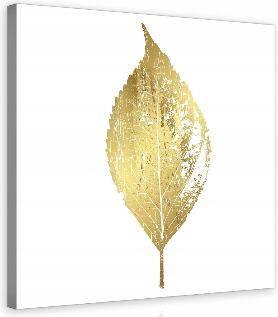 Vászonkép 80x80 Arany levél minimalizmus elegancia modern botanikus művészet