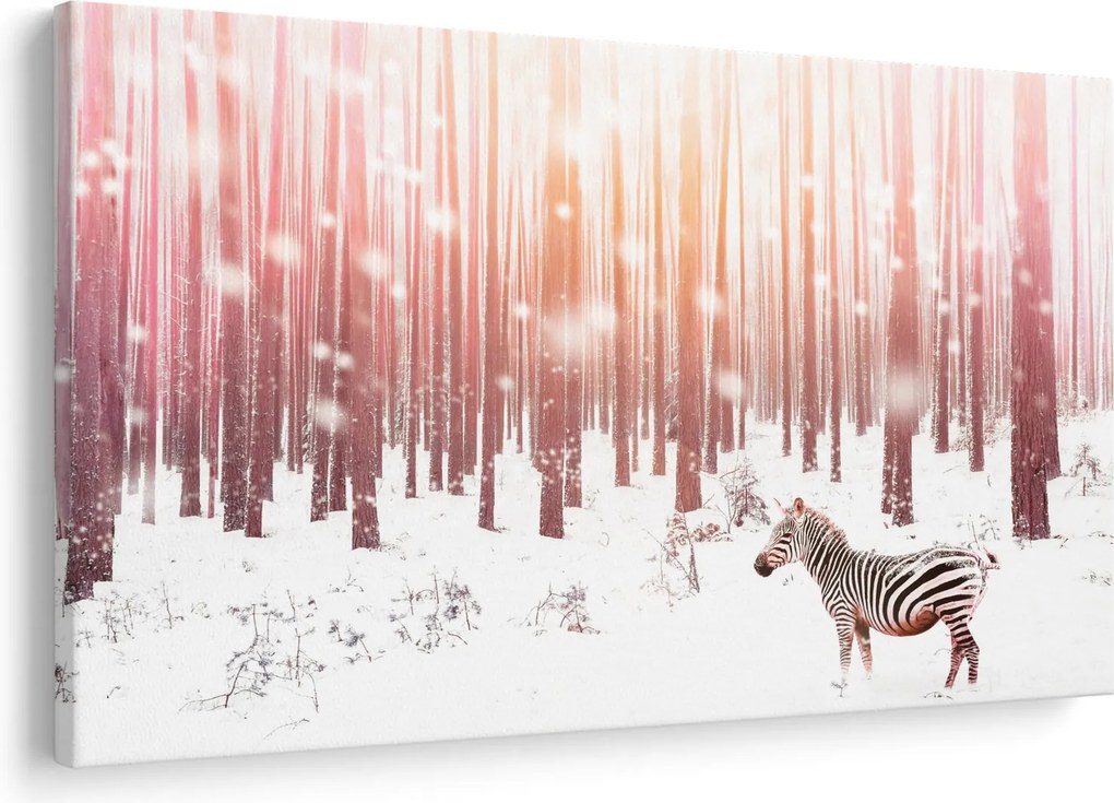 Kép - Zebra egy havas erdőben (90x60 cm)