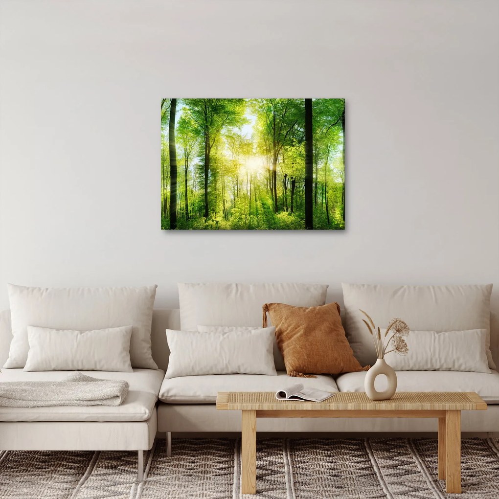 Kép - Hajnal az erdőben (70x50 cm)
