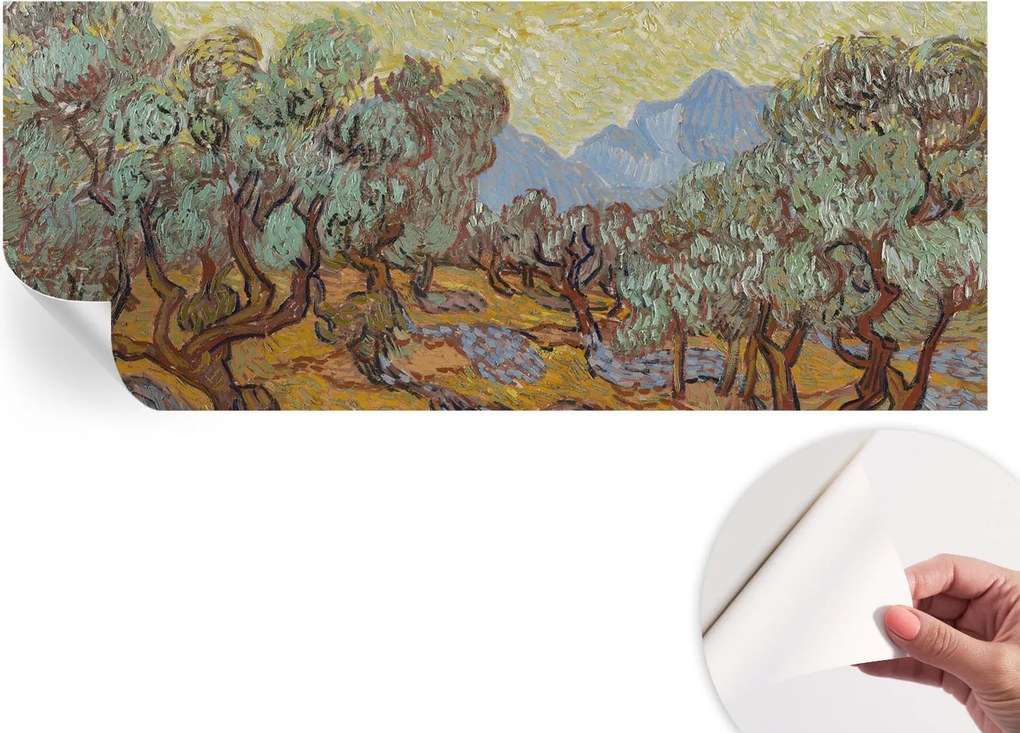 Öntapadós tapéta Fali furnér 3D hatás Olajfák 250x104 cm