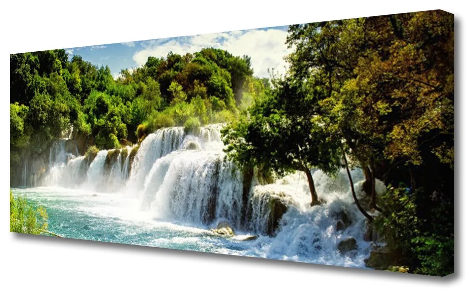 Vászonkép falra Erdei vízesés Természet 100x50 cm