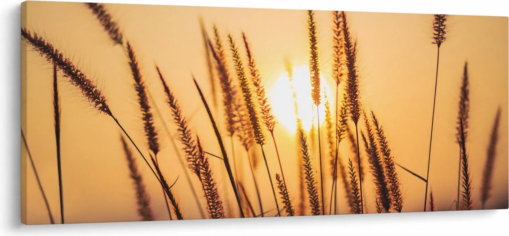 Kép - Füvek a napon (120x50 cm)