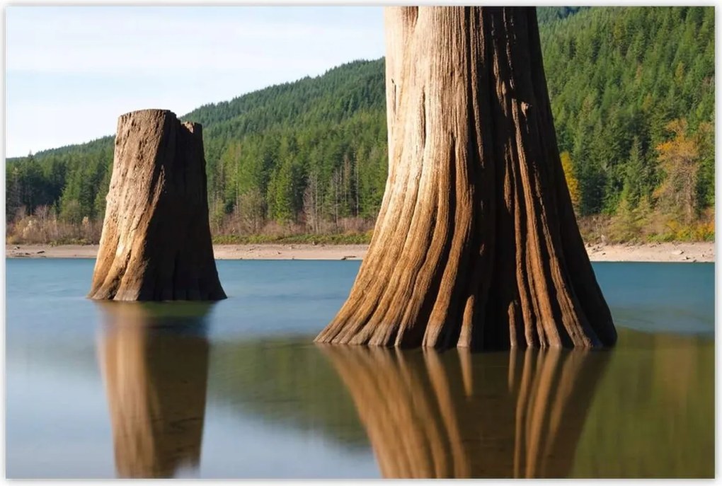 Poszterek 120x80 Fatörzsek a folyóban Hegyek