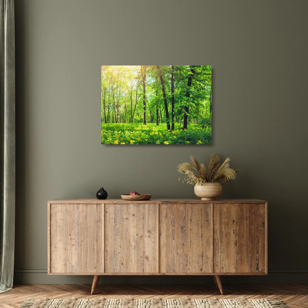 Kép - Tavaszi lomberdő (üvegen) (70x50 cm)
