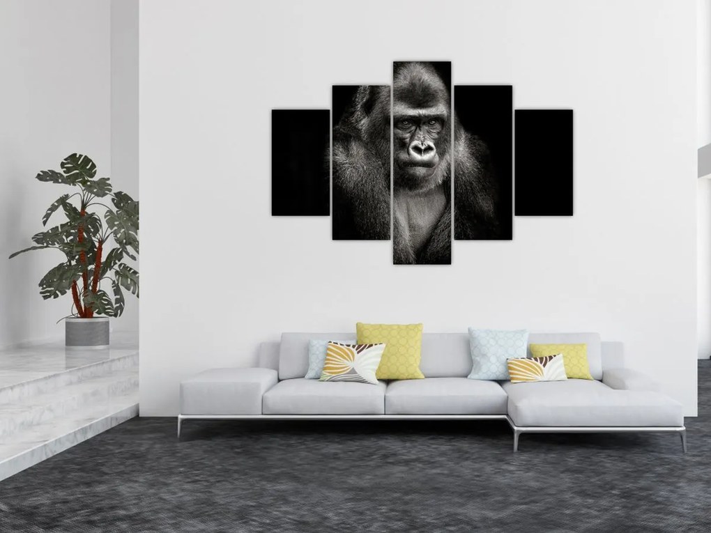 Kép - Gorilla (150x105 cm)