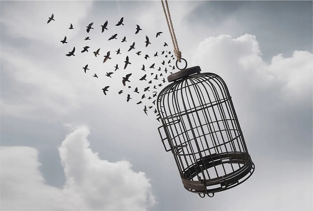 Fotótapéta Flizelina Nappali és Hálószoba Irodába Repülő madarak 104x70 Ragasztó