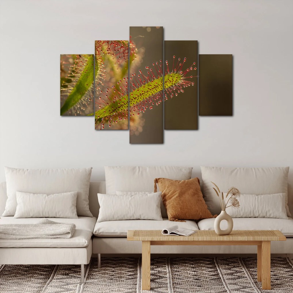 A növény képe (150x105 cm)