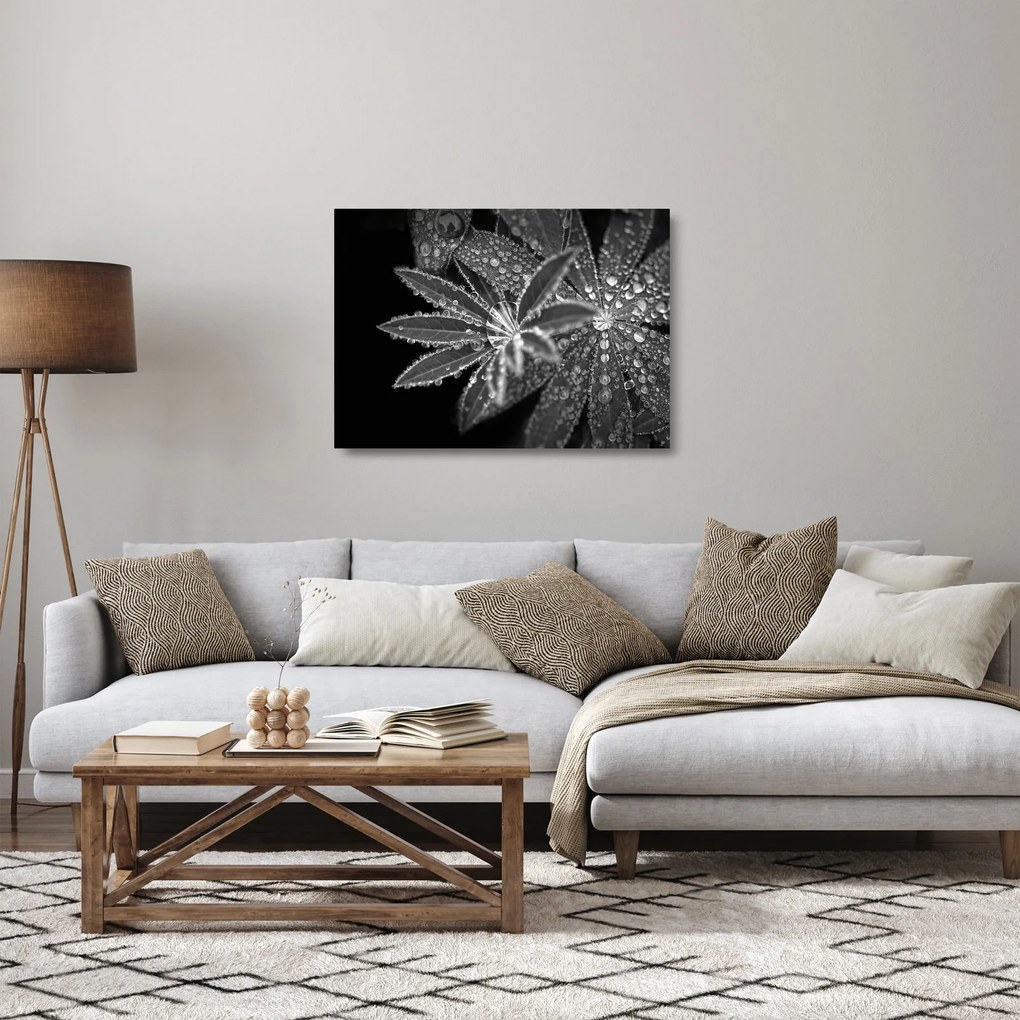 Üveg kép - Cseppek (70x50 cm)
