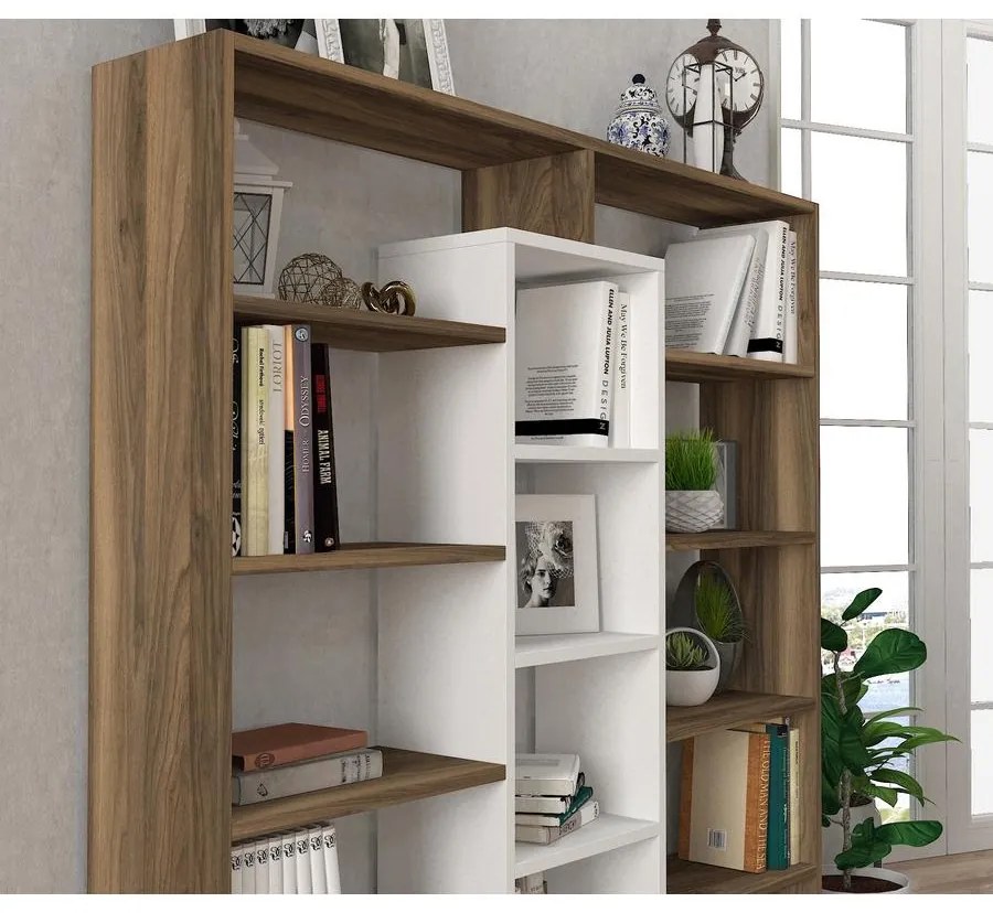 könyvespolc Ample - Walnut, White