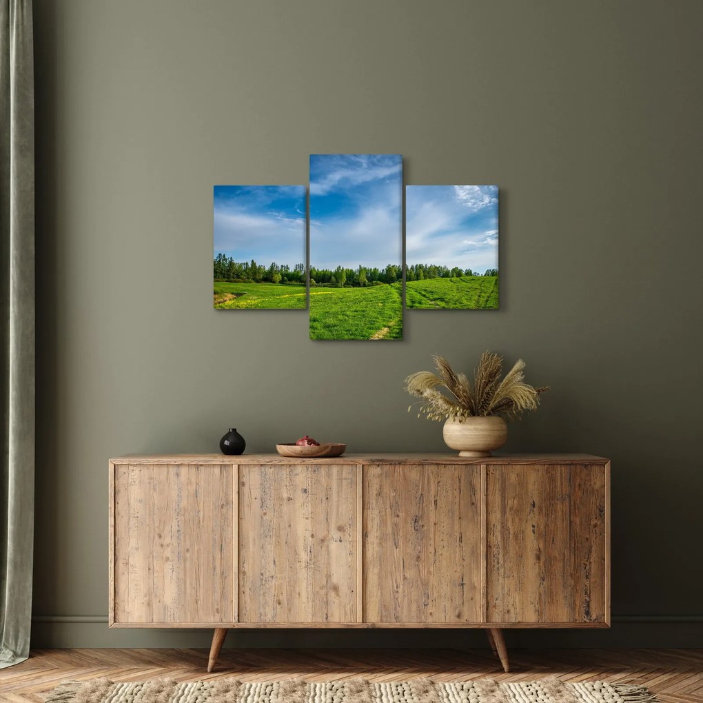 Rét képe (90x60 cm)