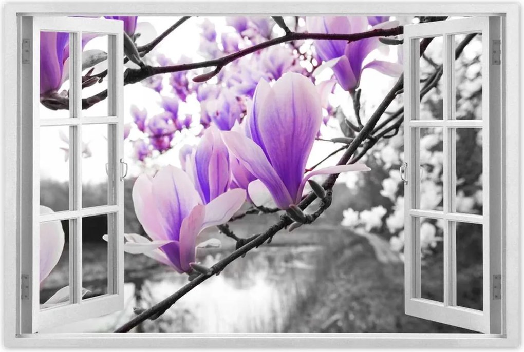 Poszterek 90x60 Magnólia Virágok