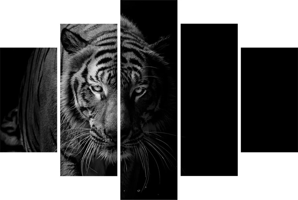 Egy vadtigris képe (150x105 cm)