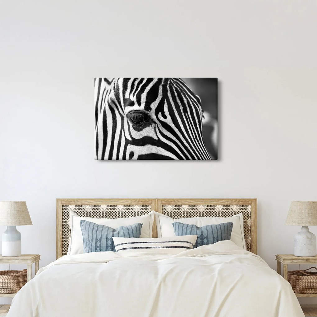 Zebra képe (90x60 cm)