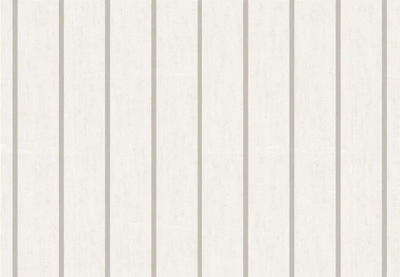 Parato Cristiana Masi Top Stripes Riga 6 szürke csíkos vlies tapéta – 38461