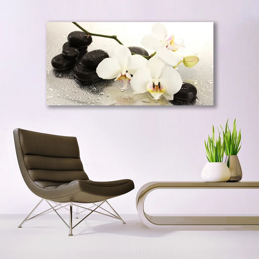 Vászonkép falra Szép virág orchidea 100x50 cm