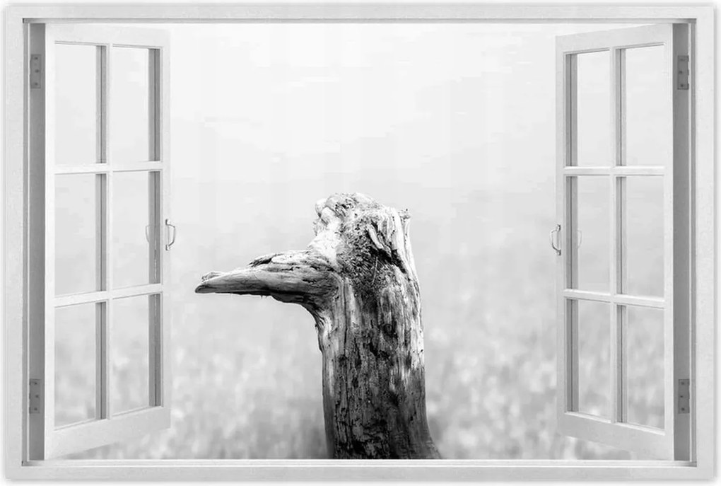 Poszterek 60x40 Tengerpart Gyökér Homok