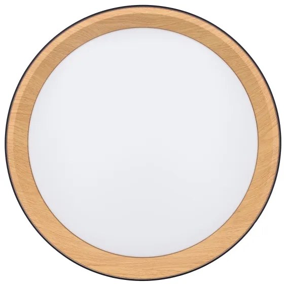 Solight WO8016 - LED Dimmelhető mennyezeti lámpa LARIOS LED/48W/230V+RC átm. 39 cm fekete