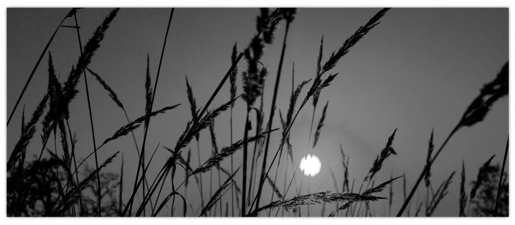 Kép - rét naplementével (120x50 cm)