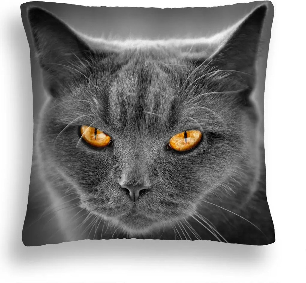 Párna Szürke Macska 41 Átható Tekintet Yellow
