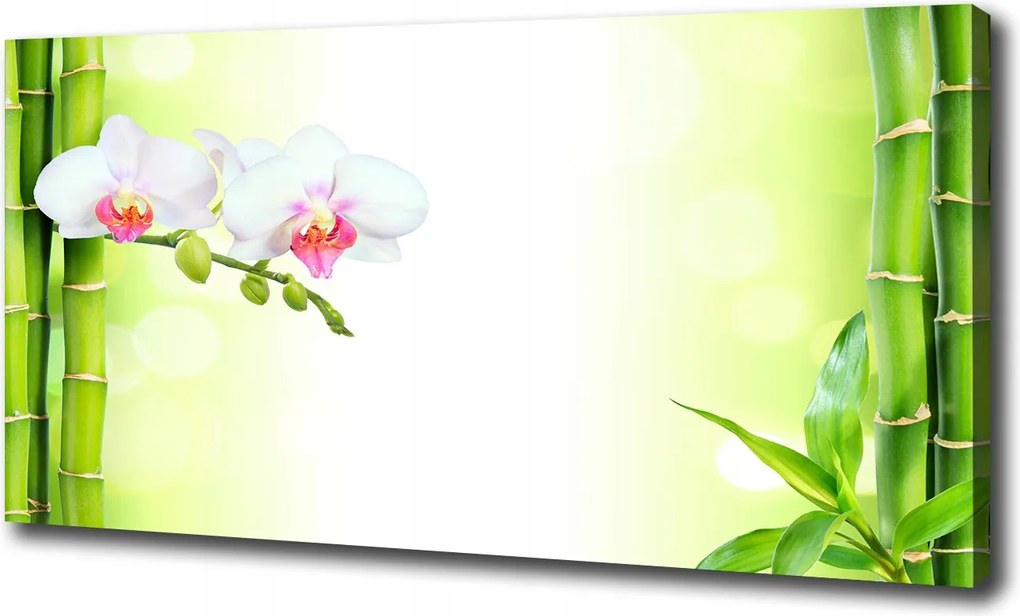 Vászonkép Orchidea és bambusz 120x60 cm