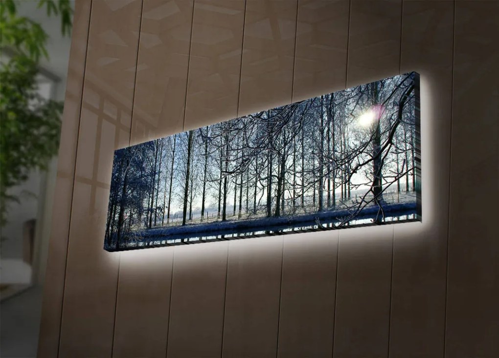 Vászonkép, 30×90 cm – 3090DACT-37