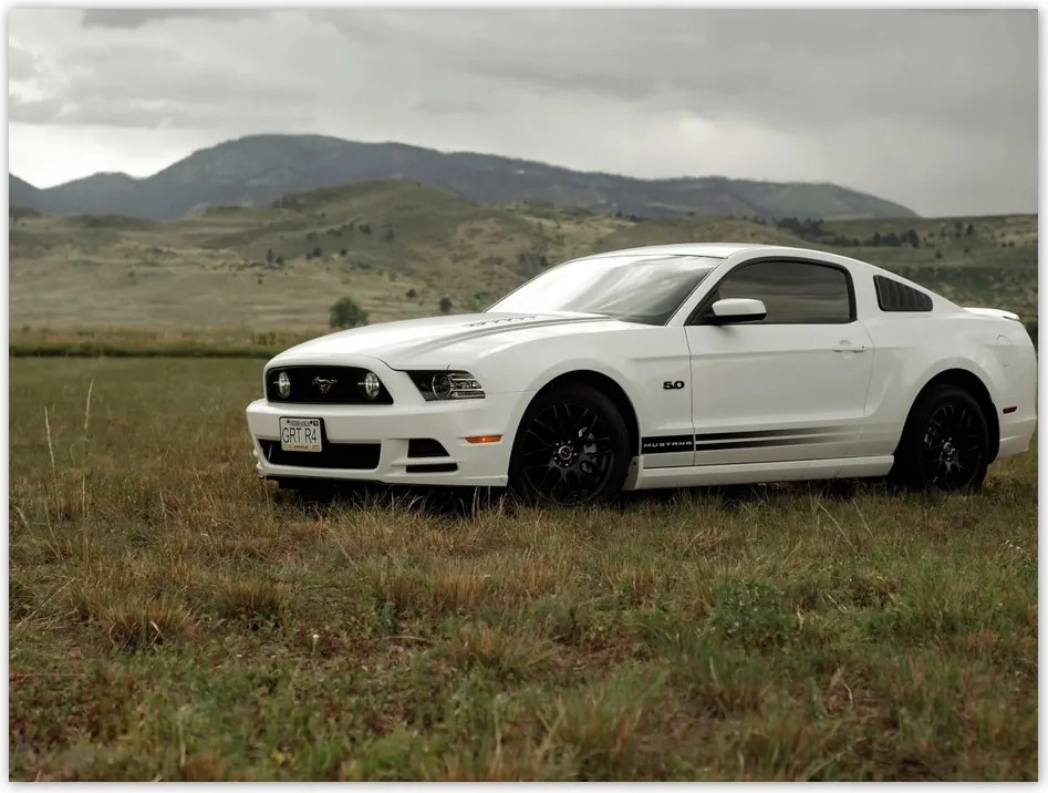 Poszterek 40x30 Fehér Ford Mustang