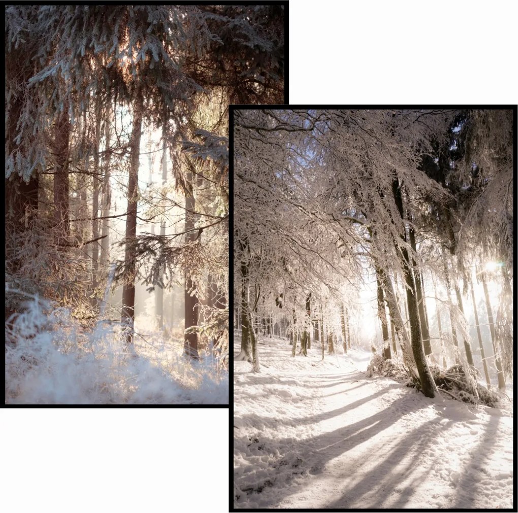 Poszter szett 2db 40x50cm téli erdő hó erdő eviero tájkép falra