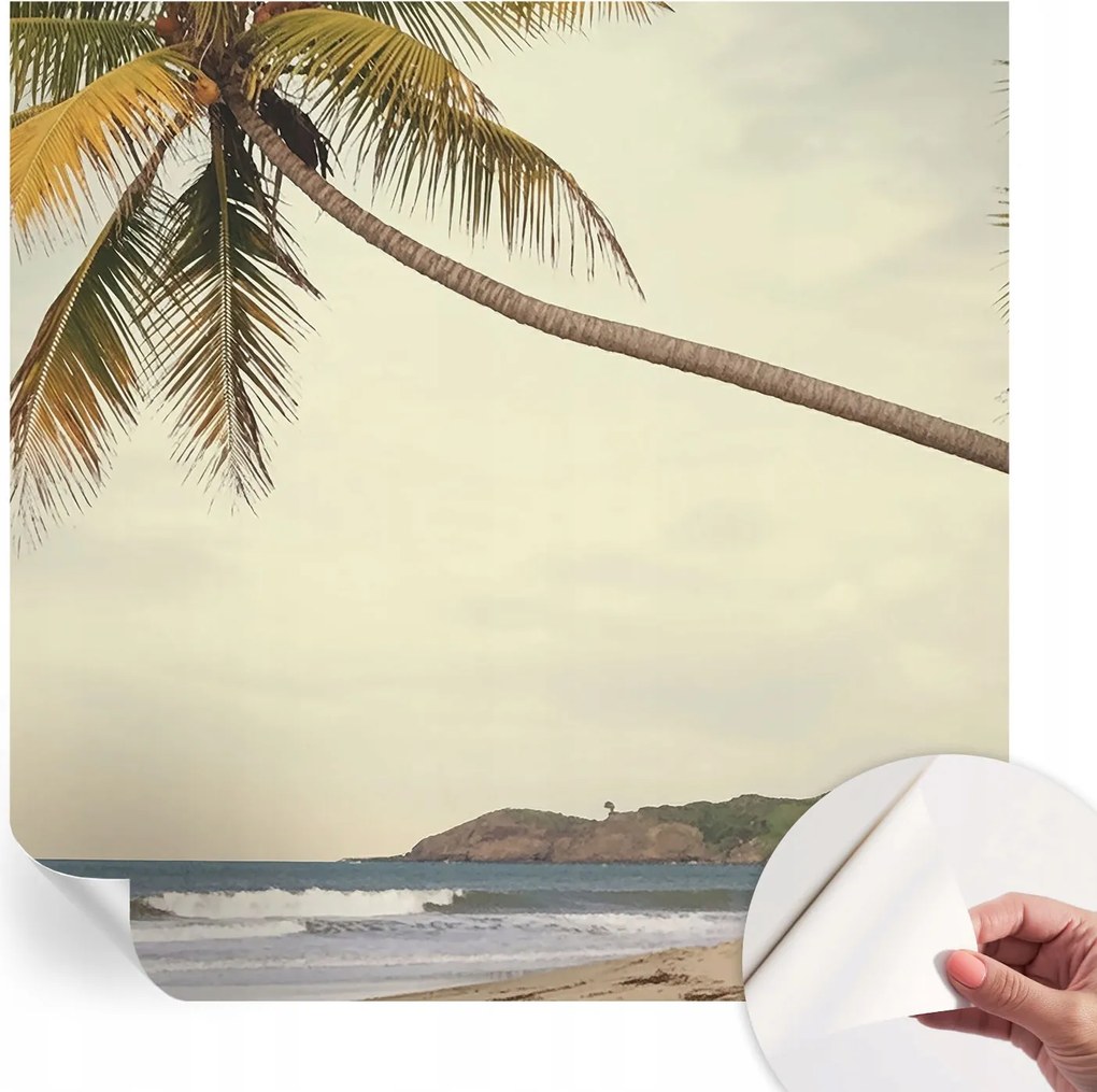 Design fali fotótapéta öntapadós Trópusi tájkép 250x250 cm