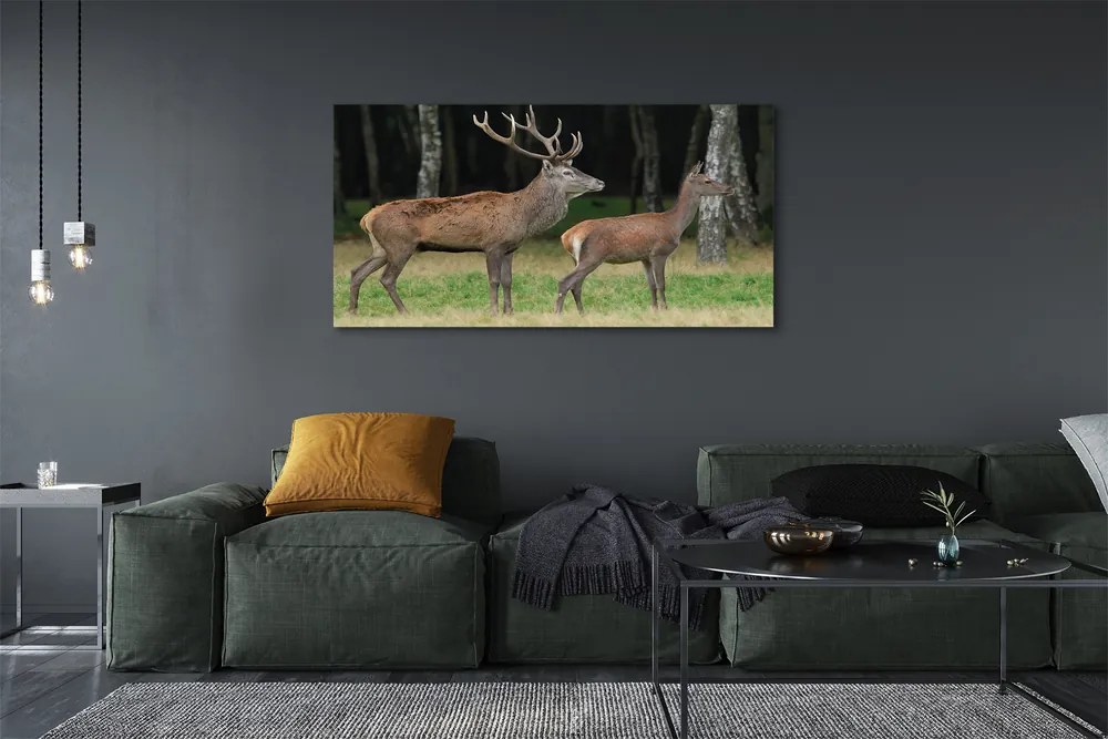 Canvas képek szarvas erdei 140x70 cm