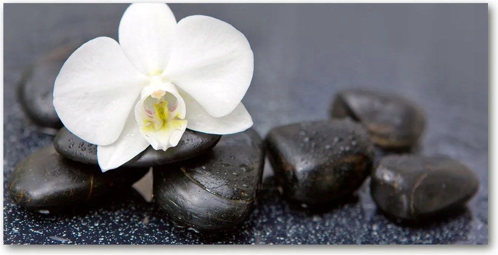 Fotó vászonkép edzett üveg Orchidea 140x70