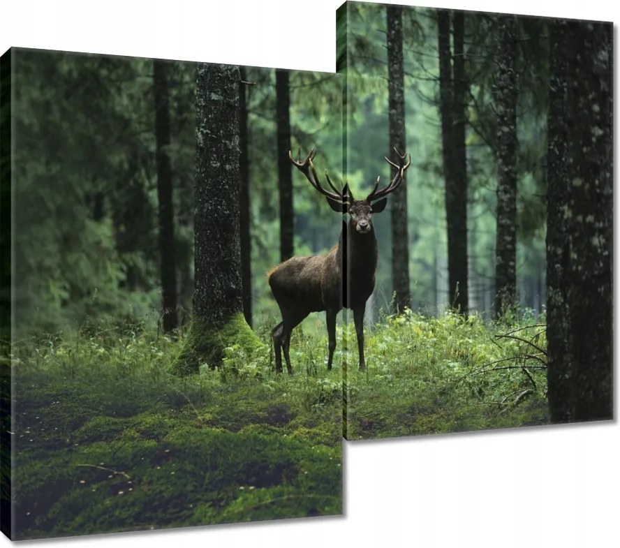 Vászonkép 80x70 Szarvas az erdő közepén