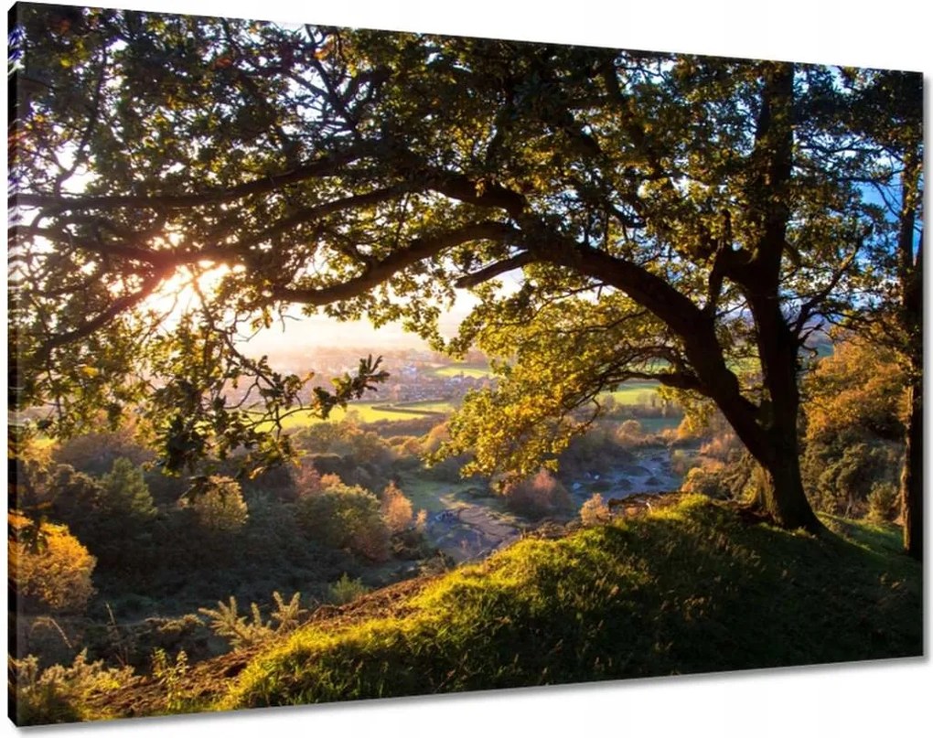 Festmények 100x70 Kilátás a völgyre