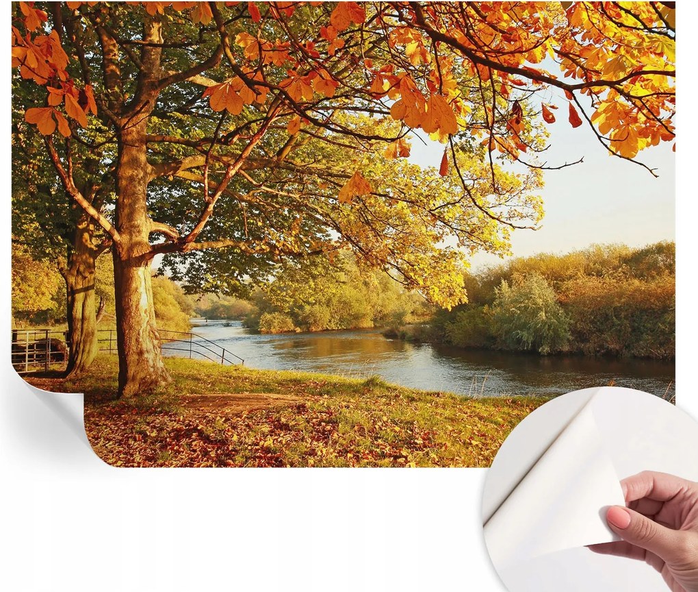 Öntapadós fotótapéta Divatos Őszi tengerpart 208x146 cm