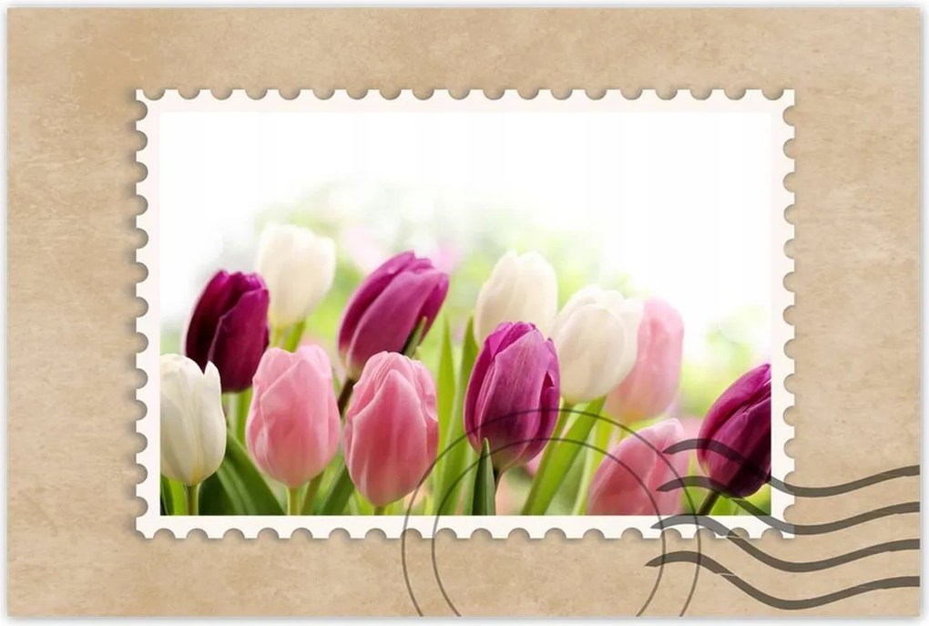 Poszterek 90x60 Gyönyörű tulipánok