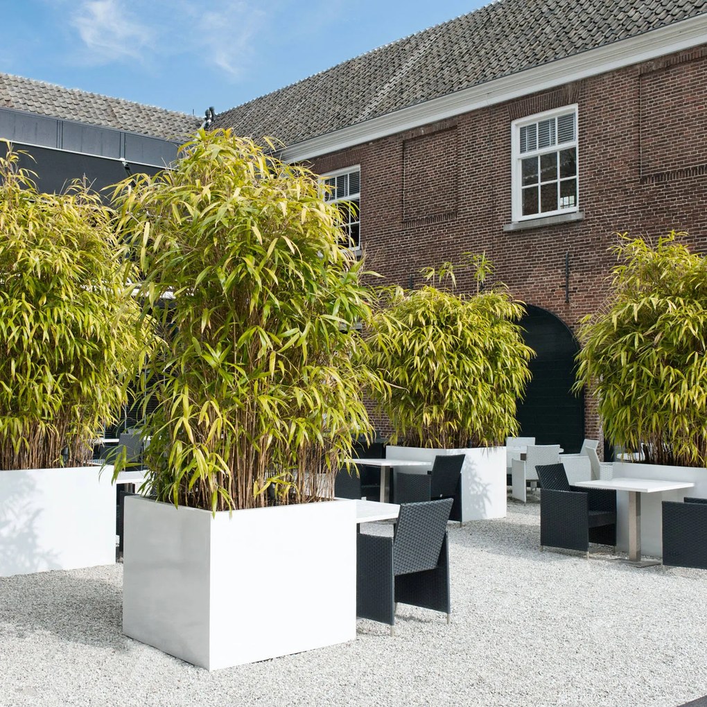 Pottery Pots Jumbo virágcserép, fekete színű, többféle méretben - PotteryPots méret: XL - h 92 cm